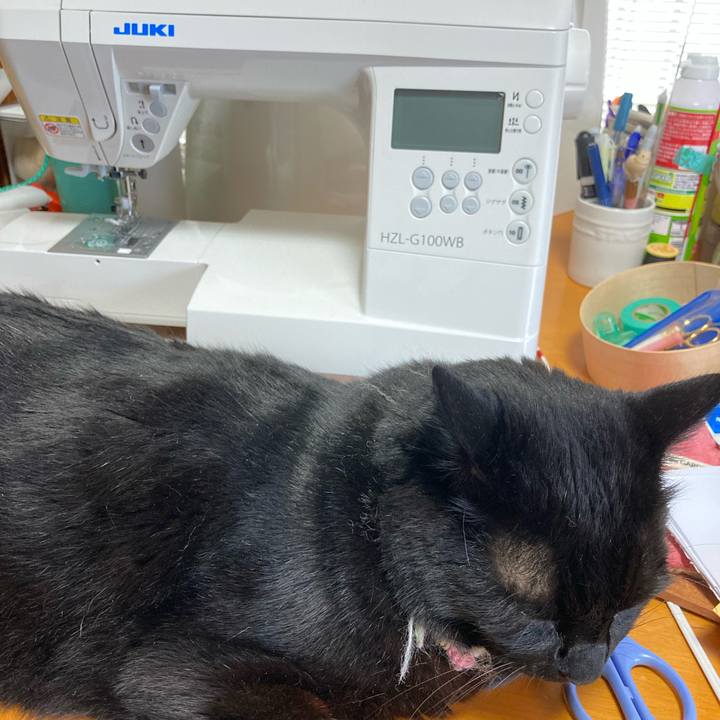 C229820c f247 42ad bcaa 51cae51c3940 1625292281658