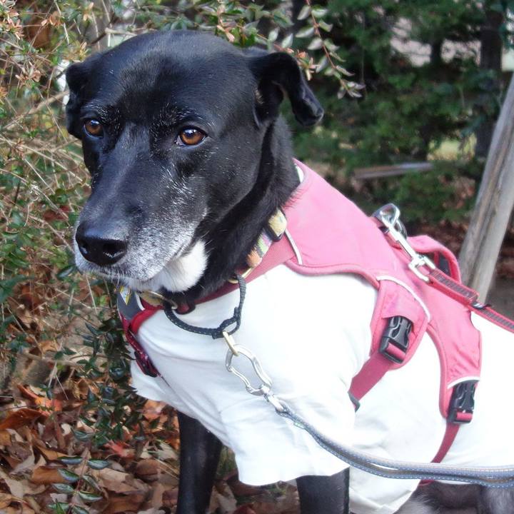 C2299aa3 9d29 4725 b99a 223cdf425c83 1703638220577