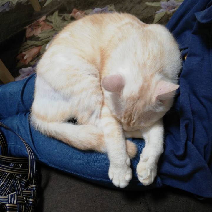 C229bf62 be98 411e bd34 d98c5f685d72 1602281299013