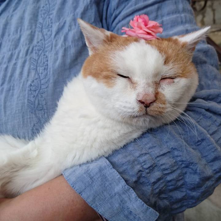 C22a1464 b077 49f3 a0df 8249c5c52255 1662769071775