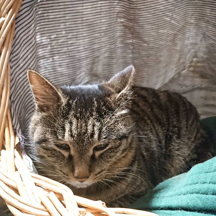 C22a6b11 a036 49d4 86cb 8bb57cd859fb 1644673346334