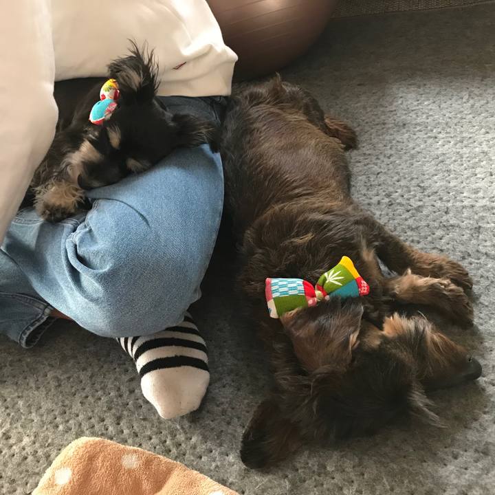 C22a6c9e f1dc 4089 8741 07cd744b9498 1550987596844