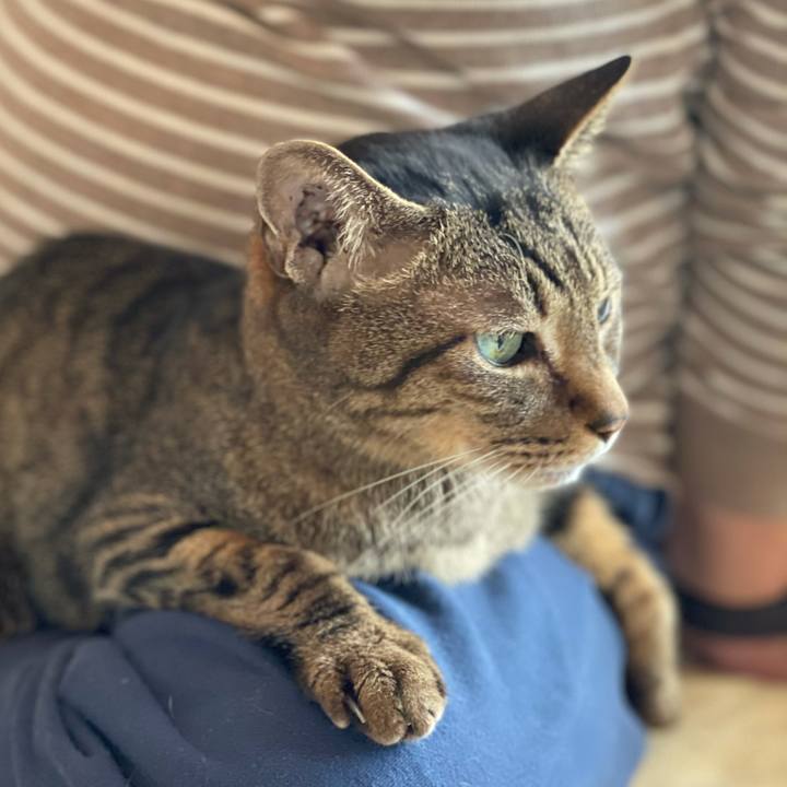 C22aaa95 69c2 4ccb 9760 f3184ab43a71 1620093888447