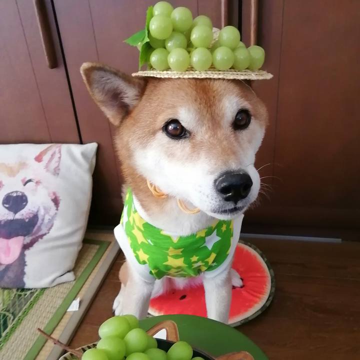 C22ace55 1204 45f0 866e c62e76aaed92 1694663265783