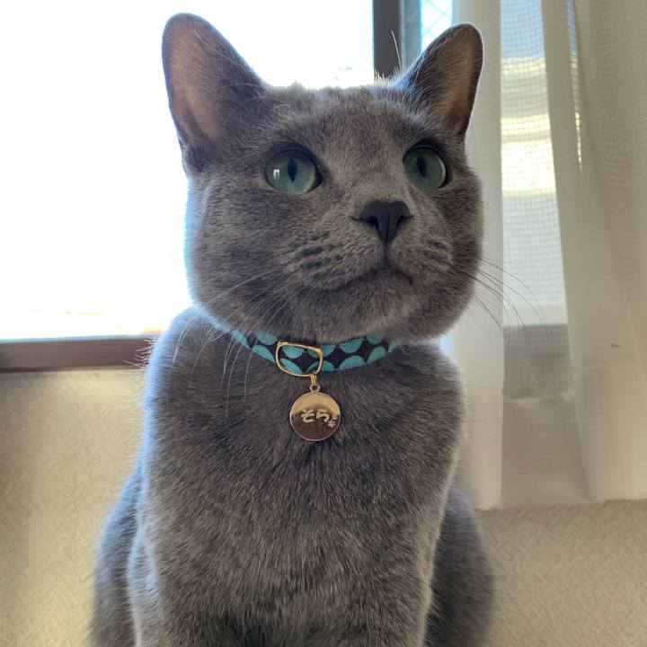 C22af5a7 7687 4087 bcda 05be1fb0fc55 1585010794510