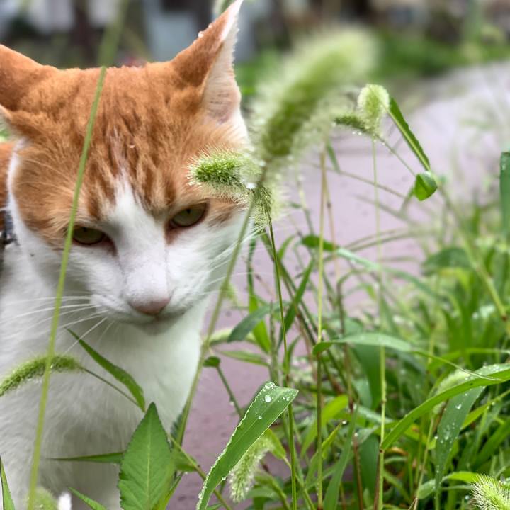 C22b7e98 bb9a 402b beb4 9a0c2fb71e1e 1568627319597