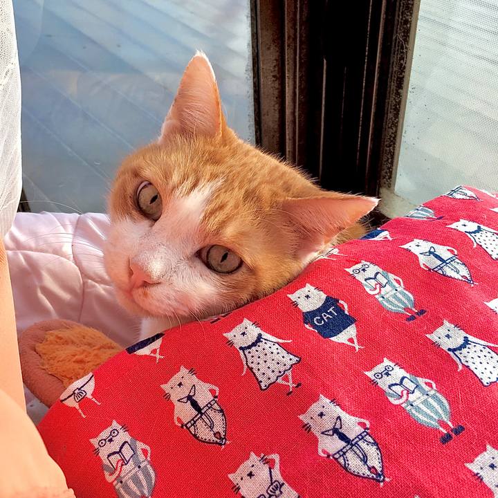 C22b9d64 918e 432a a2d6 d91bc924810f 1579504876145