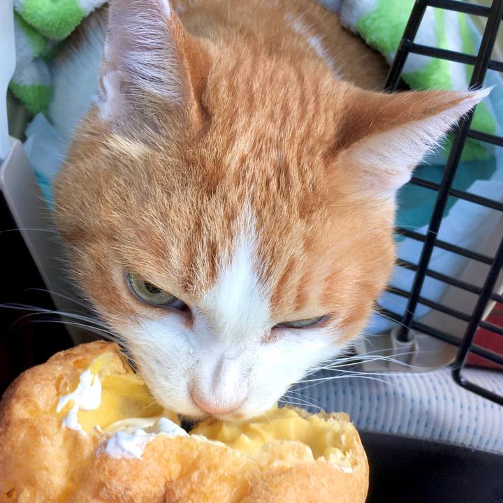 C22bb132 23c1 4617 9967 31f0aa121a04 1574320975830