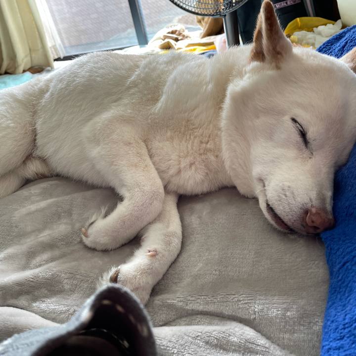 C22bd7a0 1a60 48c2 ad11 18c35ab44037 1636855072845