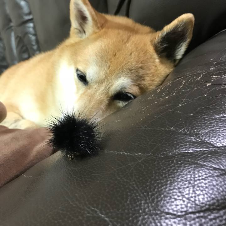 C22c00da 5c3b 4e4f b9bf b1ac1b134ade 1512032587171