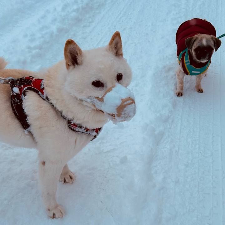 C22c25eb be28 4b79 b4f8 0f8dff1c14ae 1703634903750