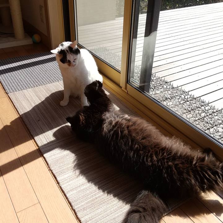 C22c2825 5630 4b94 8ef6 70a7f303f2fe 1583031568711