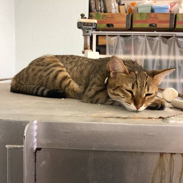 C22c2a53 59cb 4c88 8040 2d375c297d50 1599025287522