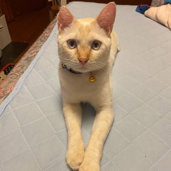 C22c2ab1 2943 49d4 a557 44b5911c3e65 1596773007321