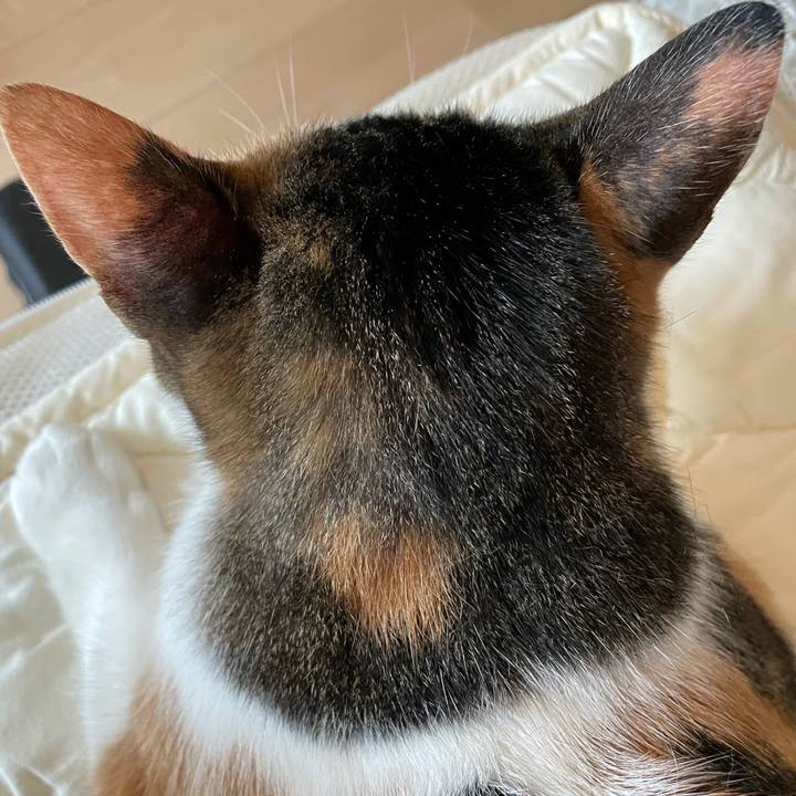 C22c3927 af34 419d 8f3a 81614f458e0d 1628499709823