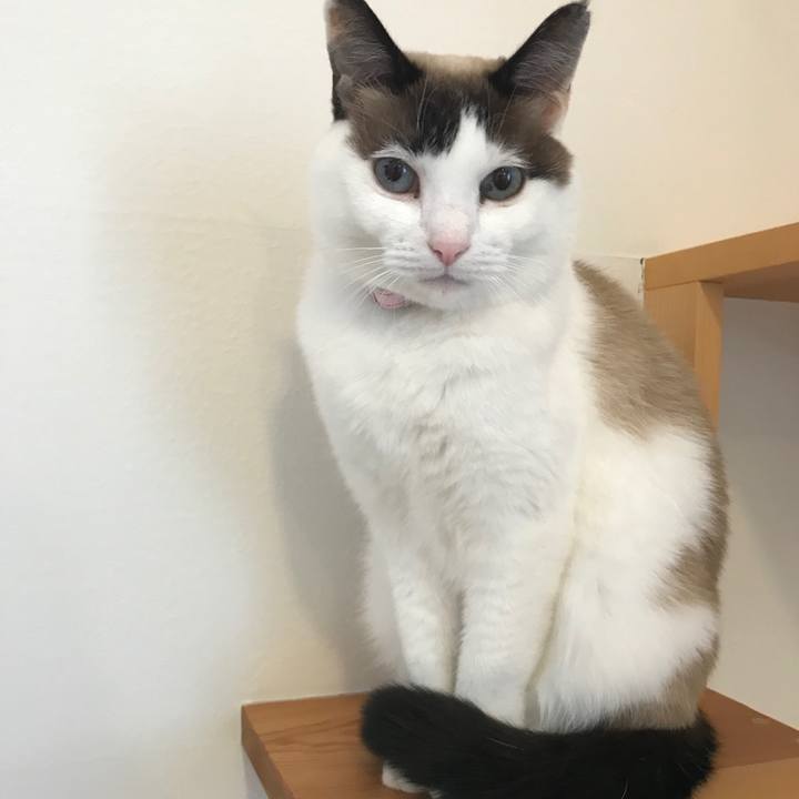 C22c6289 919c 4492 9d44 9593d782a415 1570081961138