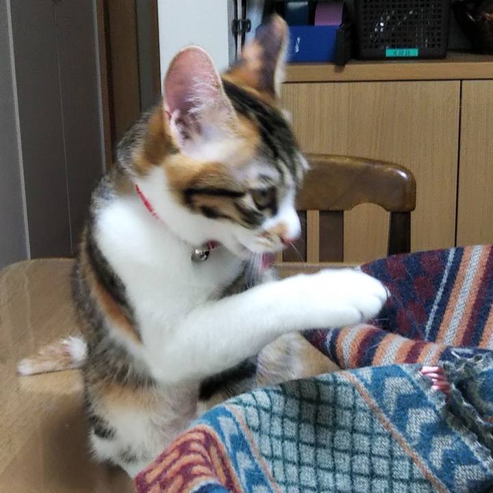 C22c81dd 279a 4a22 b95a c0460802d10a 1633663518429