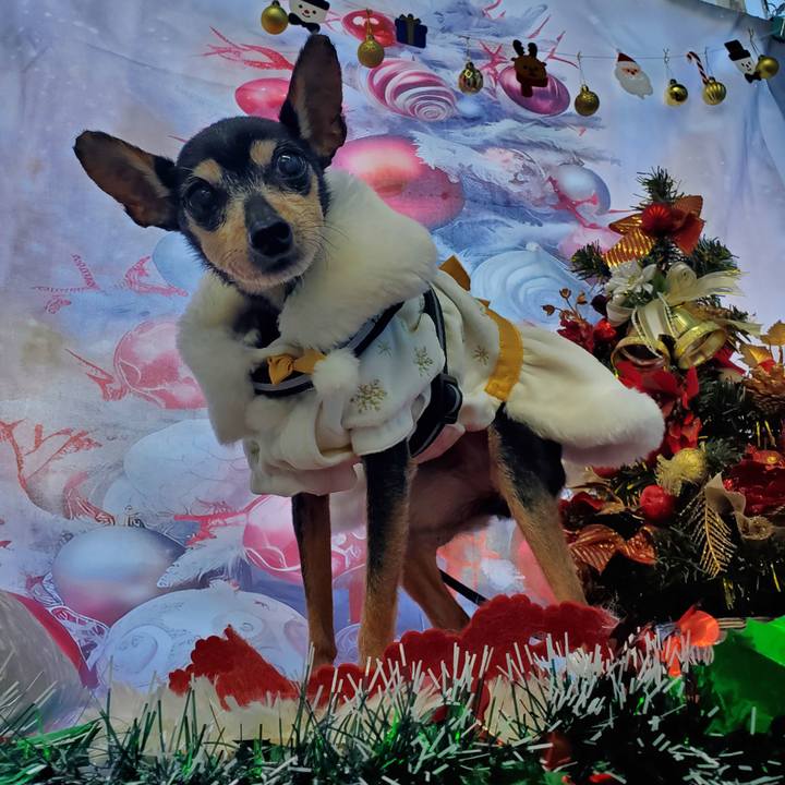 C22cba1a 1e85 4ea8 95cb b799f75428e9 1703426579041