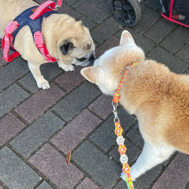 C22cbb8c 8a08 48a3 b9f9 80b4408feeb9 1694089411800