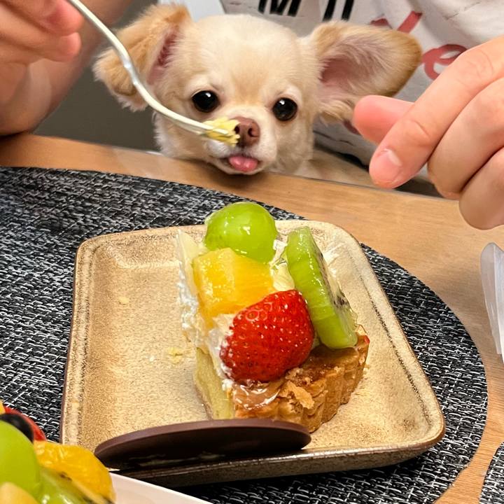 C22cc4fe f75d 47a5 a79e 0774cfd0edb8 1723807673007