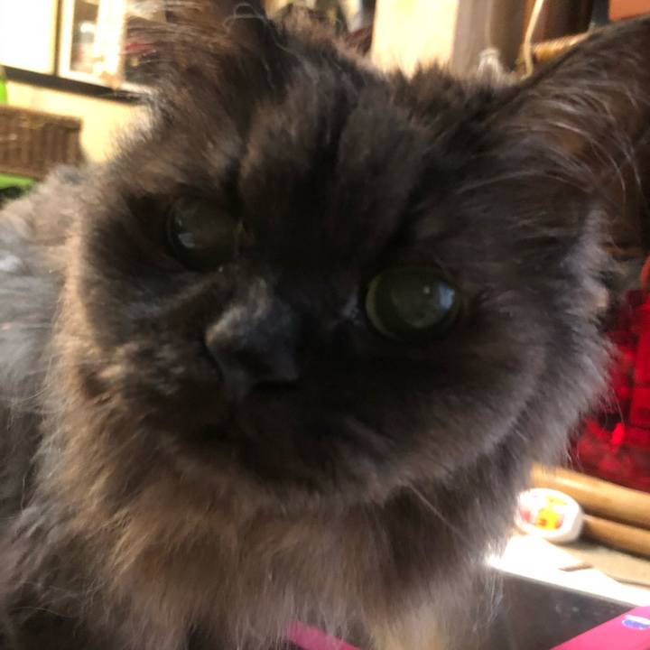 C22ce80c 63a3 439e 8f16 f59e509a29b9 1536874590305