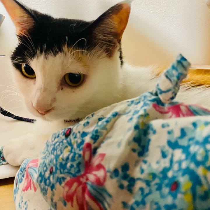 C22d0de6 17e8 44a1 bac7 d68c451327d7 1657316191696