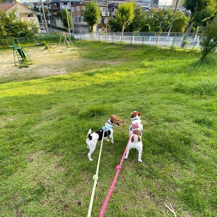 C22d27a3 8dfd 4a07 b20d dff4108e513c 1753136229343