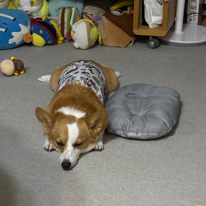 C22d2dce 80d2 4aa5 ba15 dc3f06c6ed2c 1760972291624