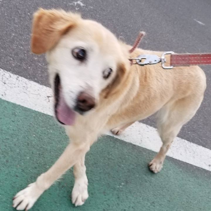 C22d5264 787b 4a4f ab3a 2e2391a35f43 1651697987062