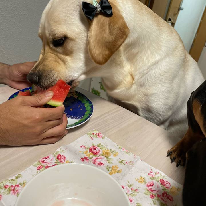 C22d7dc1 673a 4033 8d6a e87c73b0c0f7 1656592824672