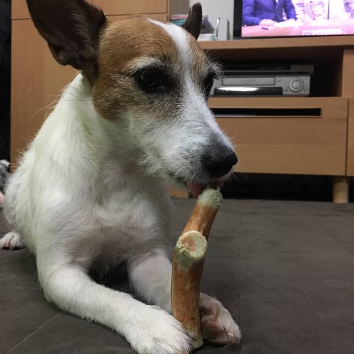 C22dabef aa04 420f bc11 d26fa207d361 1571109836624