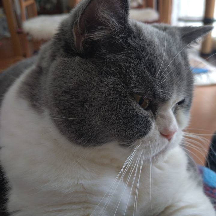 C22dbfae ed77 45d2 bba4 a9a54d624bef 1770531147552