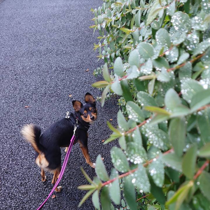 C22dbfc8 b7a2 4a09 890e 372499b88bf2 1762751228139