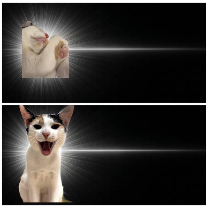 C22dd332 3bfc 4eb7 b9cf 7e45c9370772 1775637750419