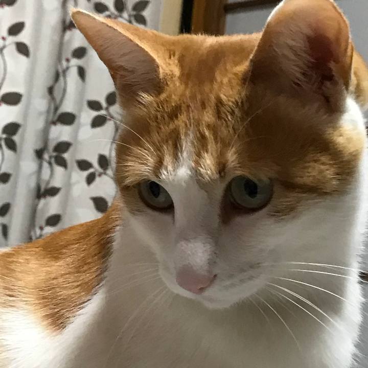 C22e1e06 b38d 4320 b0fd 674509528ca1 1516362331484