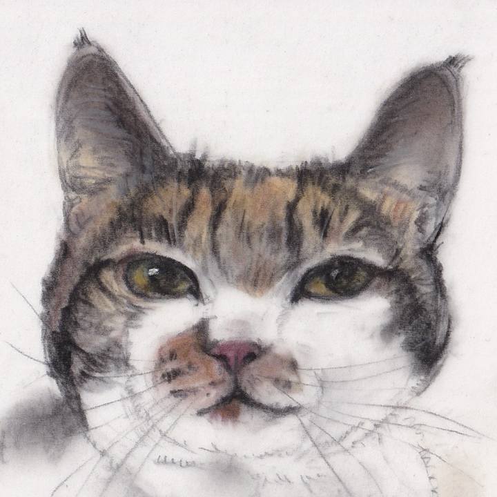 C22e4981 9446 48c1 93a4 33d2098c1120 1744984737549