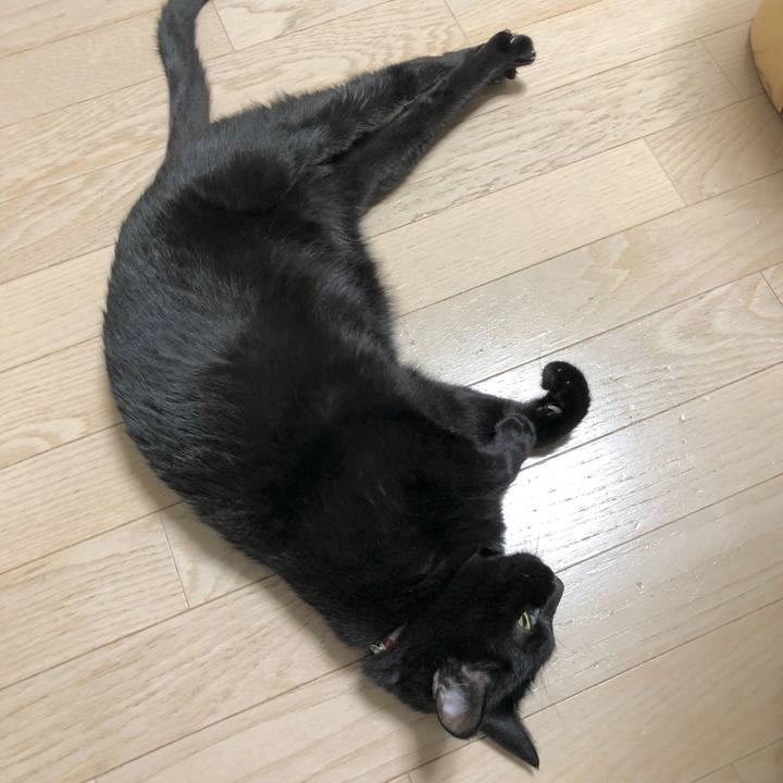 C22e4b20 015a 4590 a85e 78bc9b0b4747 1605442754484