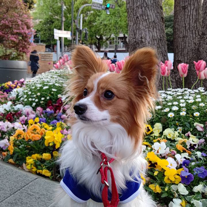 C22e7038 bf8f 466c 91ff 2215f2430222 1618061990020