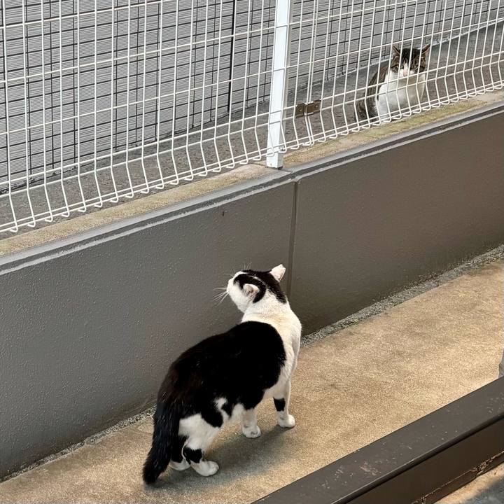 C22e80bc 43aa 4209 93c2 67db83866149 1763197842241