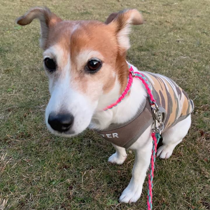 C22e8a44 61f9 4f6e b7a8 3e5698570833 1542980522227