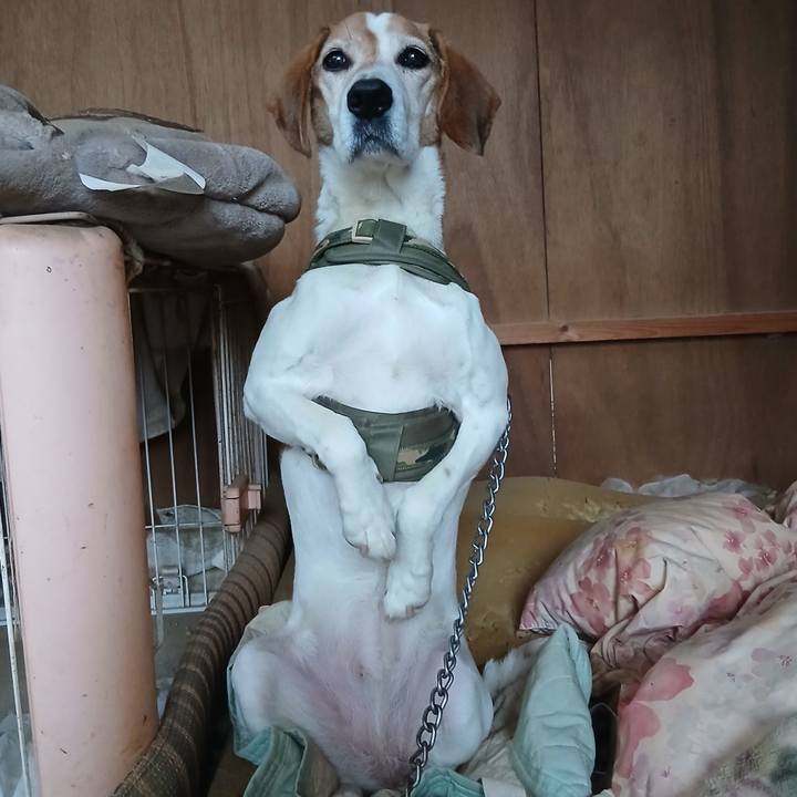 C22e94ab 37b0 4a65 84d1 af99b6f7b5d9 1771142836394