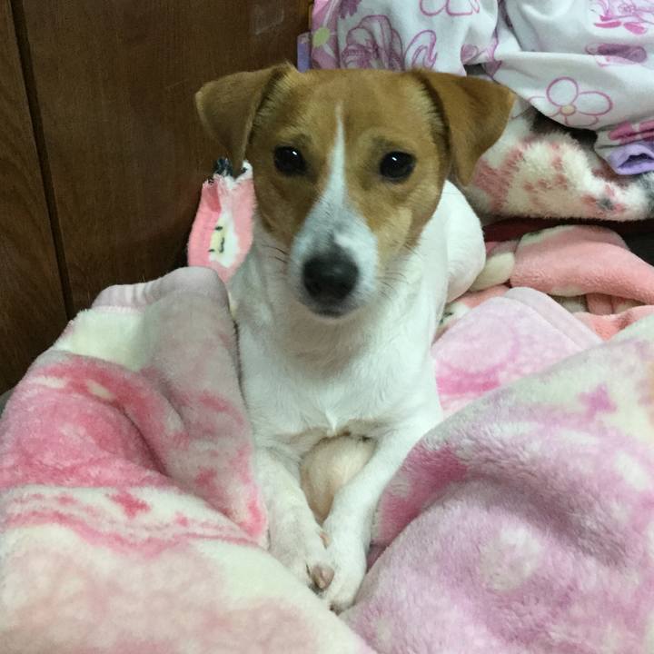 C22ebc29 cb9d 4d1e 8d8e 90568d55b739 1515751509083