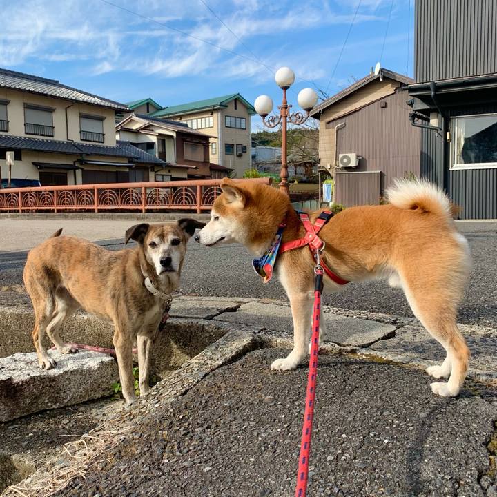 C22ec556 8755 4175 a09b e1bffbc67ac7 1637323928882