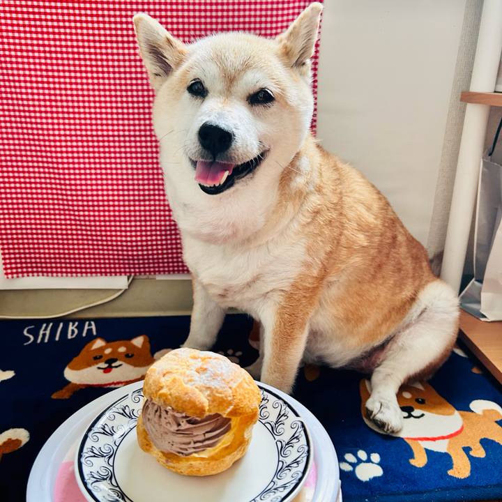 C22eca4c 67eb 49db a04d f1fba8762e22 1750829303264