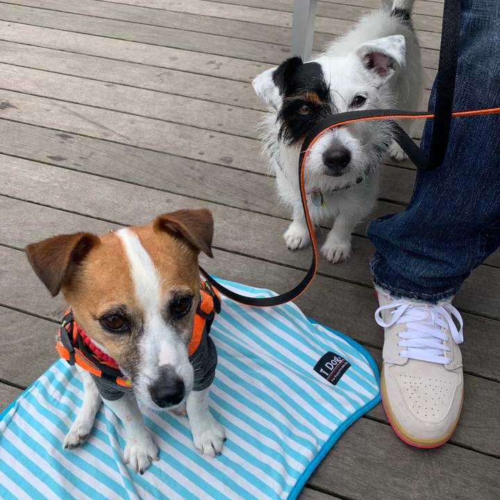 C22ecb81 7898 4184 83b9 83a56638d6f9 1557106021754