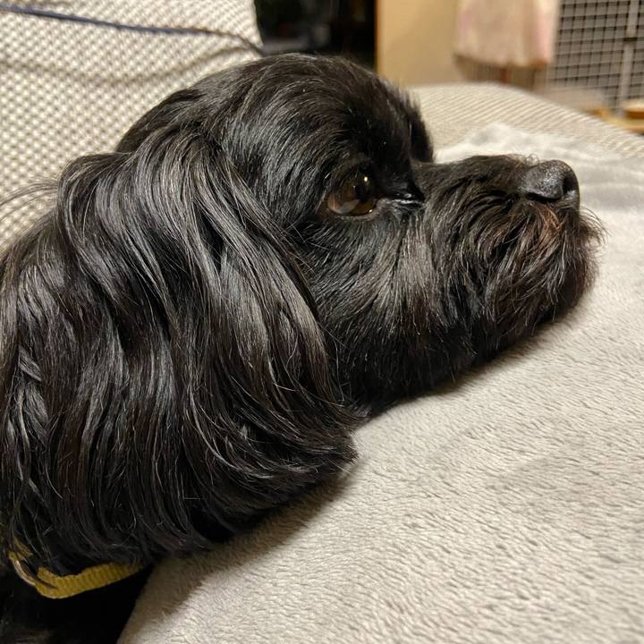 C22ed5d3 ec67 4ec3 8afa 9117c6b7aaf0 1580897883674