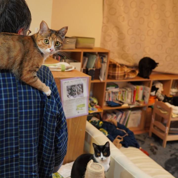 C22f0084 f2a0 43b7 8cdb 496af8c8d57a 1586872647333