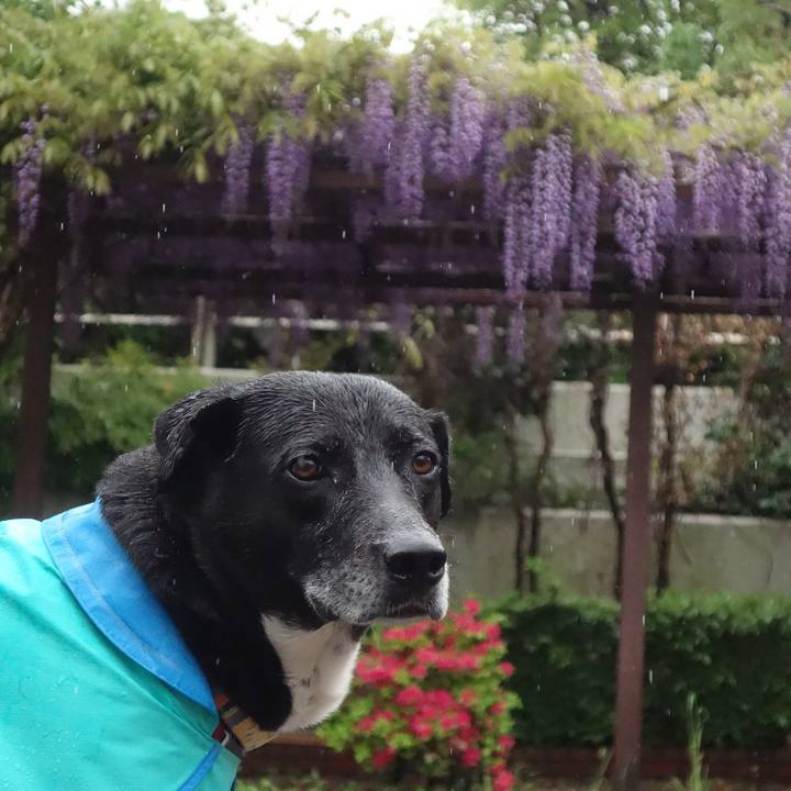 C22f115b a145 4c4b afb2 032d0cd6321f 1681518149024