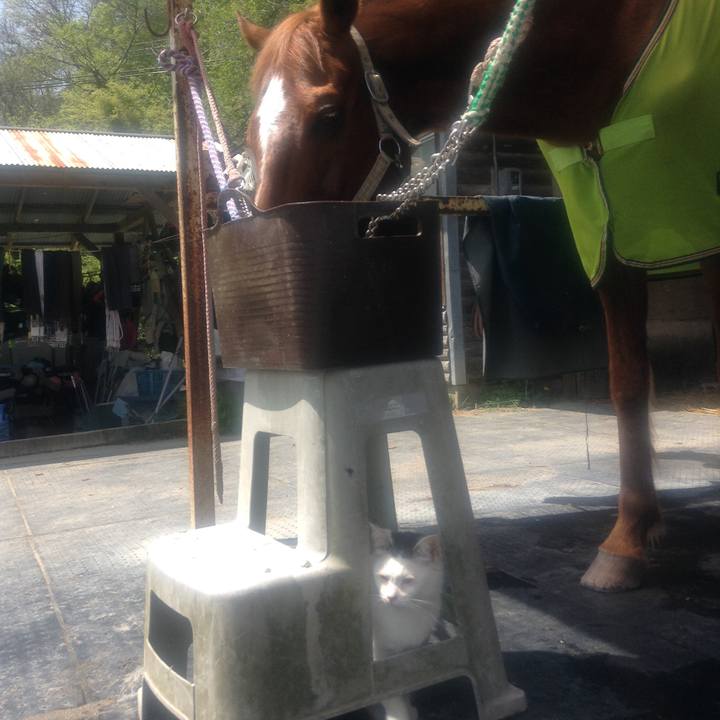 C22f2371 2874 40c4 817f 42410b1cbdde 1612068559542