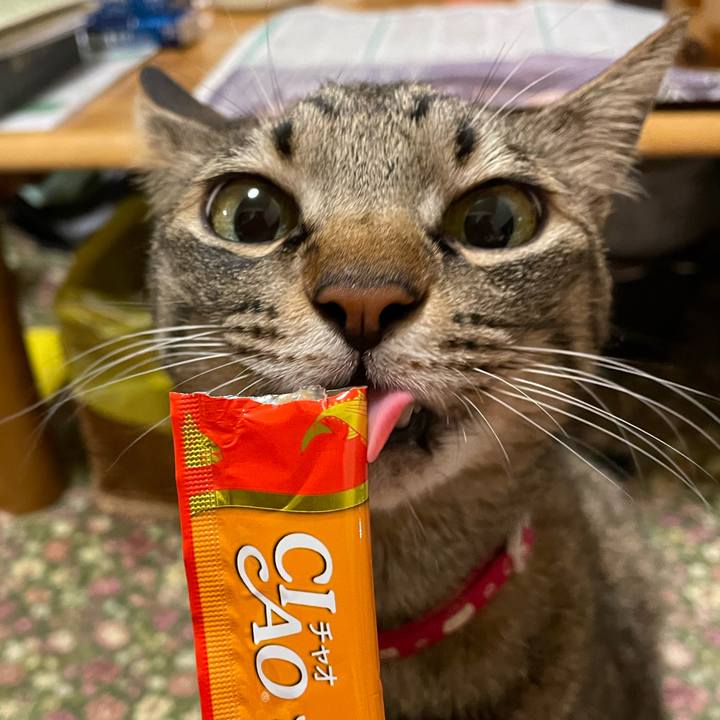 C22f4d46 55e2 46af b33e 375b4dd8495f 1657199294923